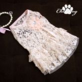 Vestido Rendado